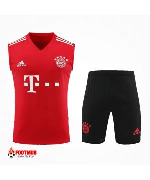 Maillot de foot Bayern Munich 2023/24