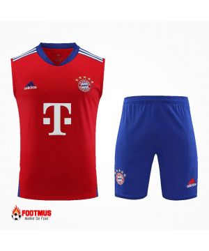 Maillot de foot Bayern Munich 2023/24