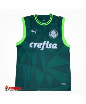 Maillot Se Palmeiras Maillot de foot personnalisé Domicile 2023/24