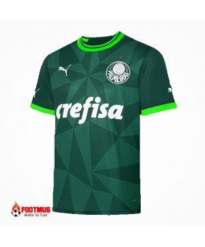 Maillot Se Palmeiras Maillot de foot personnalisé domicile 2023/24