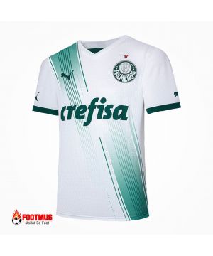 Maillot Se Palmeiras Maillot de foot personnalisé extérieur 2023/24