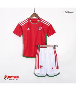 Maillots de football domicile Pays de Galles pour enfants 2023/24