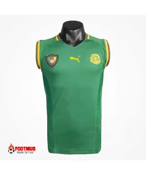 Maillot de foot rétro du Cameroun à domicile, réplique 2002