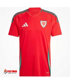 Maillot domicile du Pays de Galles 2024